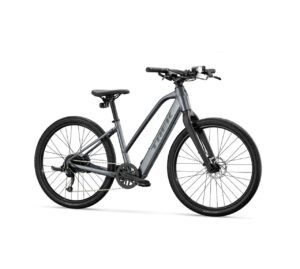 TREK Dual Sport+ 2